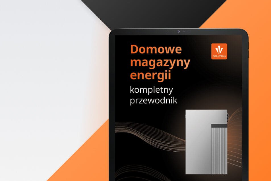 ebook magazyny energii 2024