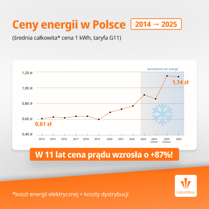 koszt 1 kWh energii w Polsce w 2025